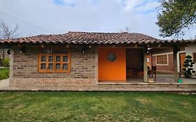 Cabañas Kali-Tree Precio
